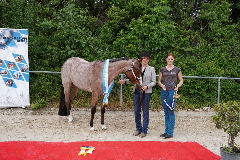 s_A7_08621.jpg